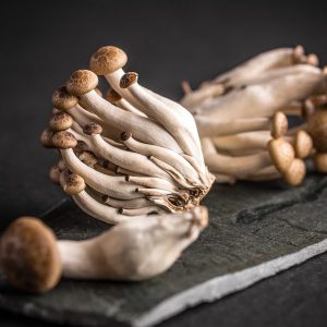 Goodies4all - Fresh Vegetable - Shimeji Brown Mushroom