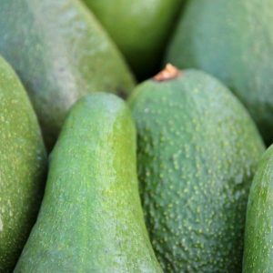 Goodies4all - Fresh Vegtables - Fuerte Avo Box