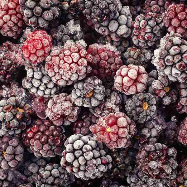 Frozen blackberries - individually quick-frozen fruit ready for delivery across the Deep South (Kommetjie, Fish Hoek, Kalk Bay, Simon’s Town).