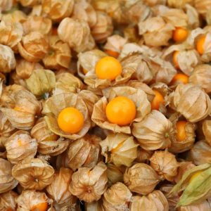 Goodies4all - Frozen Gooseberries