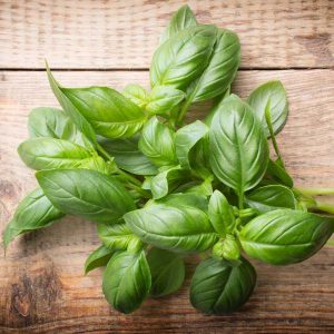 Goodies4all - Herbs - Basil