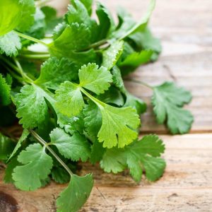 Goodies4all - Herbs - Coriander