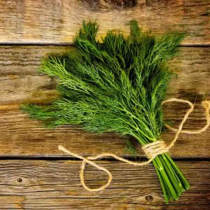 Goodies4all - Herbs - Dill