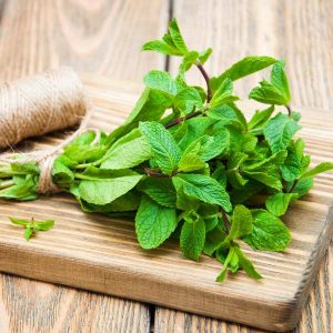 Goodies4all - Herbs - Mint