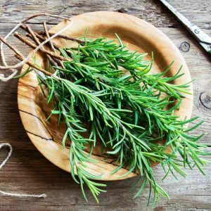 Goodies4all - Herbs - Rosemary