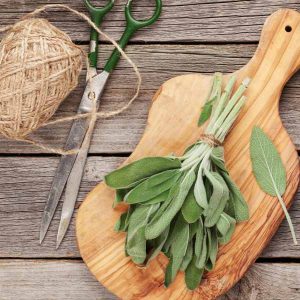 Goodies4all - Herbs - Sage