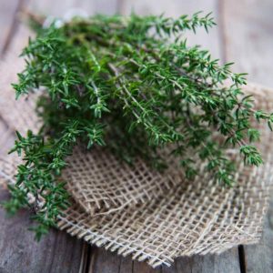 Goodies4all - Herbs - Thyme