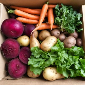 Fresh Vegetables - Hands4Change